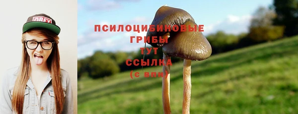 круглые Сясьстрой